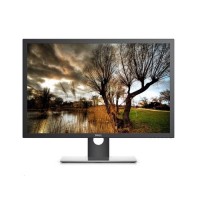 Dell UP3017 30" 2K TFT LCD IPS