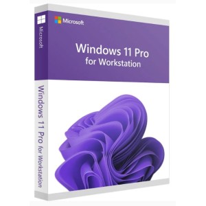 Microsoft Windows 11 Pro - Workstation 32/64Bits