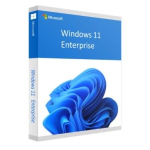 Microsoft Windows 11 Enterprise