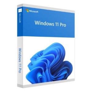 Microsoft Windows 11 Profissional 32/64Bits