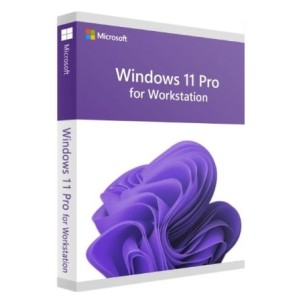 Microsoft Windows 11 Pro for Workstations